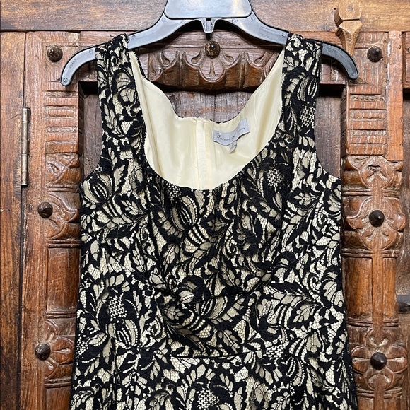 Anthropologie Mirror of Venus Retro 50s Pinup wedding guest Lace Dress Size 6 - Picture 5 of 7